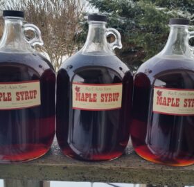Maple Syrup 4L