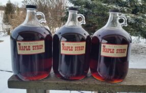 Maple Syrup 4L